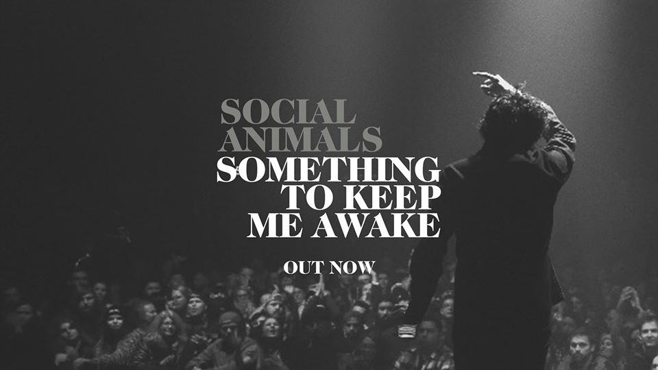 Social Animals New Single 'Something to Keep Me Awake' - Online Music ...