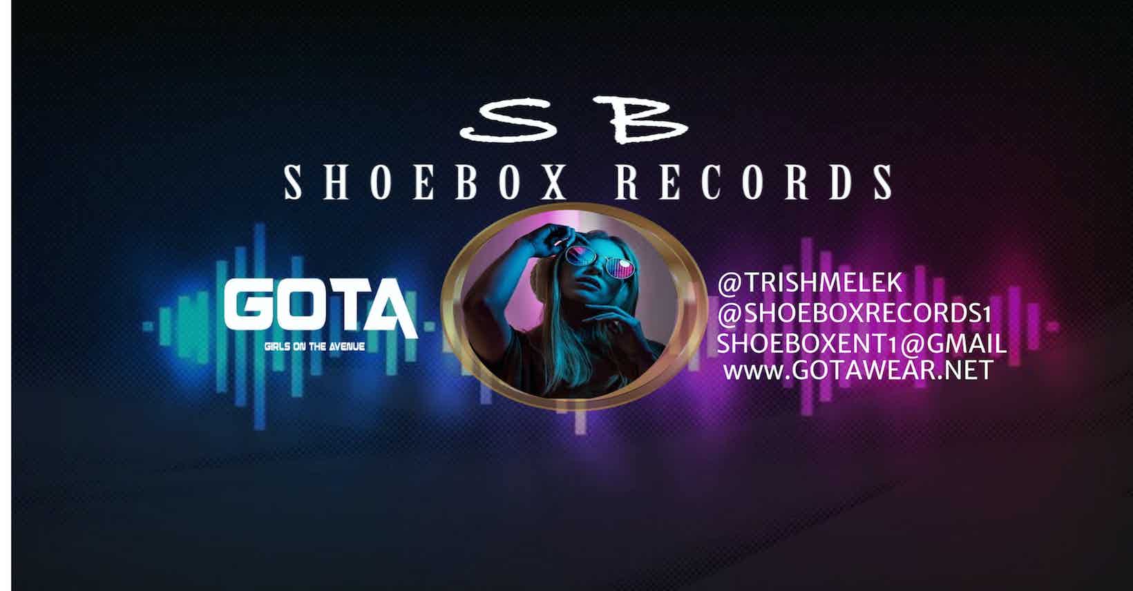 Interview with Dance Artist & Shoebox Records CEO Trish Melek